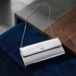 Mochi Women Silver Clutch